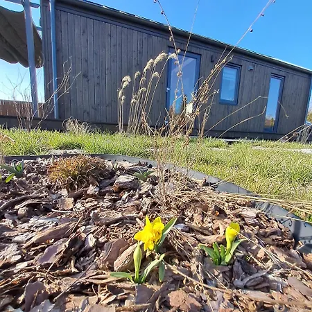 Brzozowe Ostrowie * Kozlowo (Nidzica)