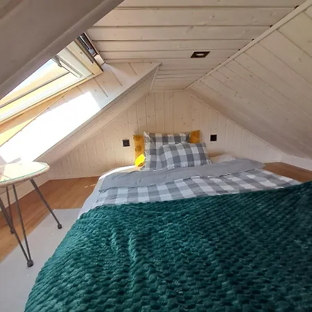 Brzozowe Ostrowie Holiday home *
