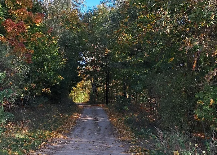 Holiday home Brzozowe Ostrowie Kozlowo (Nidzica)