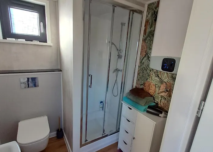 Brzozowe Ostrowie Kozlowo (Nidzica)