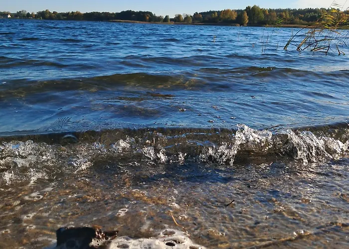 Brzozowe Ostrowie Kozlowo (Nidzica)