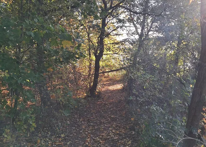 Holiday home Brzozowe Ostrowie Kozlowo (Nidzica)