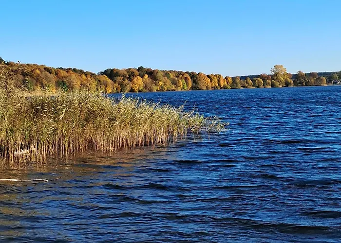 Brzozowe Ostrowie Kozlowo (Nidzica)