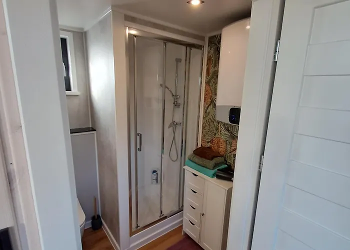 Brzozowe Ostrowie Kozlowo (Nidzica)