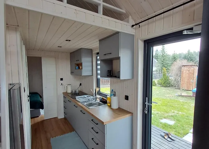 Brzozowe Ostrowie Kozlowo (Nidzica)