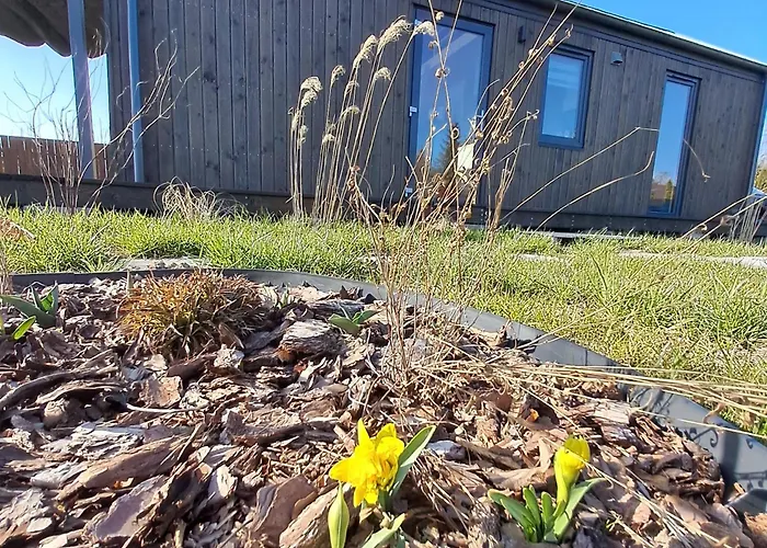 Brzozowe Ostrowie * Kozlowo (Nidzica)