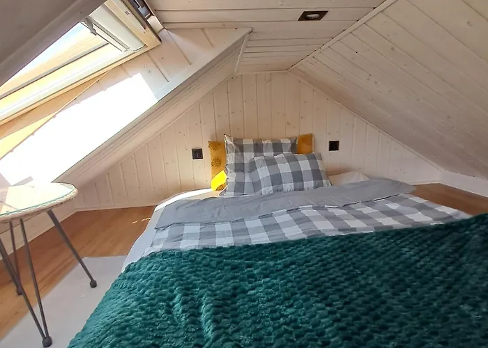 Brzozowe Ostrowie Holiday home *