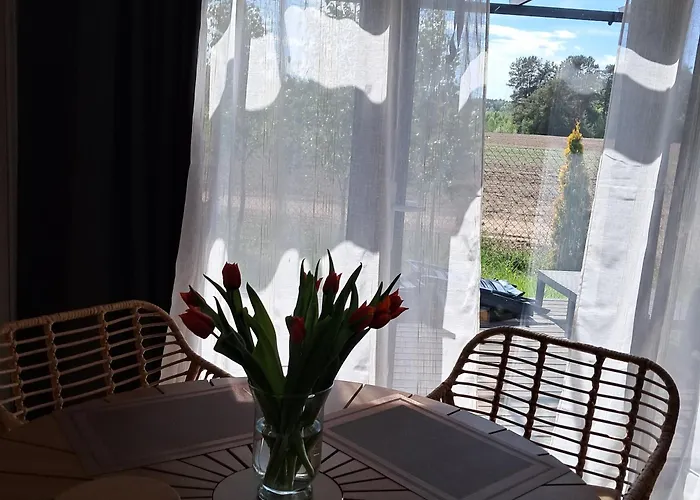 Brzozowe Ostrowie * Kozlowo (Nidzica)