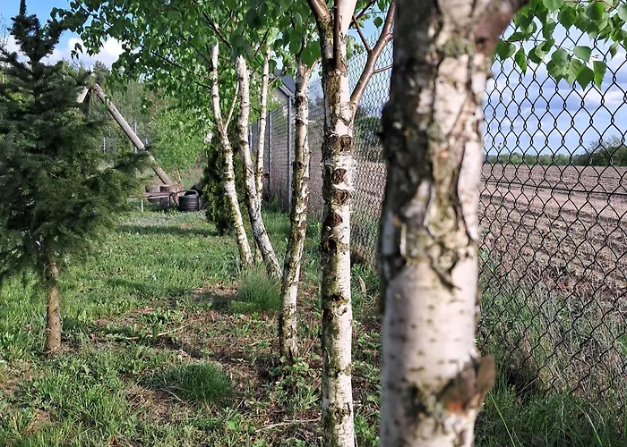 Brzozowe Ostrowie Holiday home *